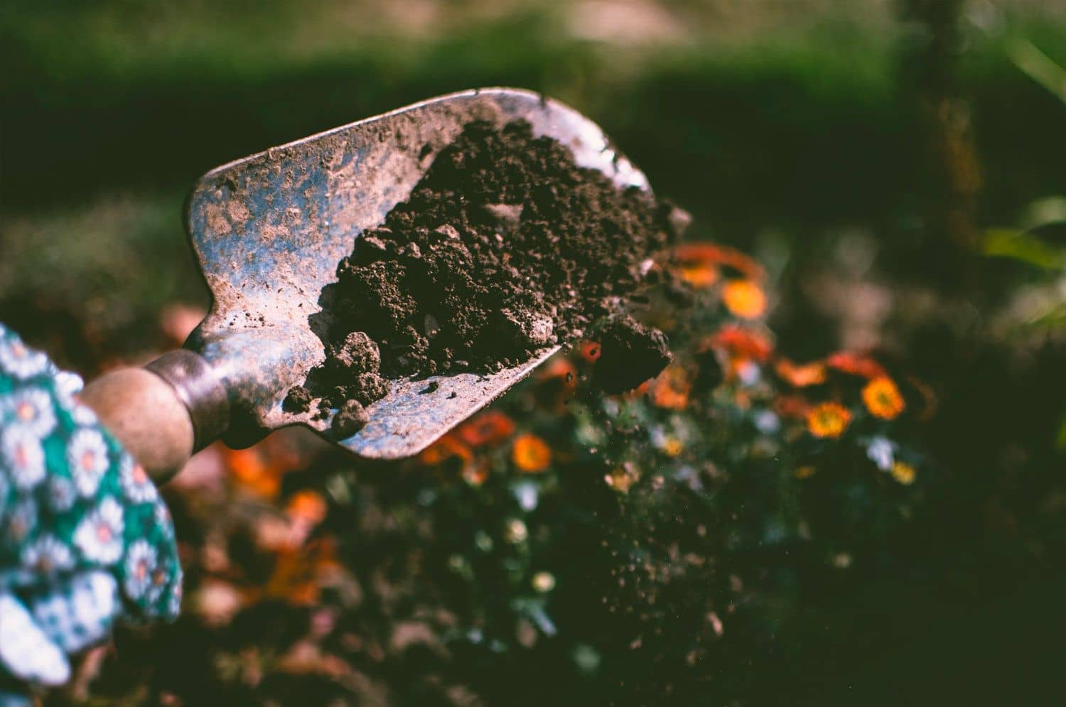 Landscape Maintenance in Auburn CA - Weeding Landscape Maintenance in Auburn CA - Weeding