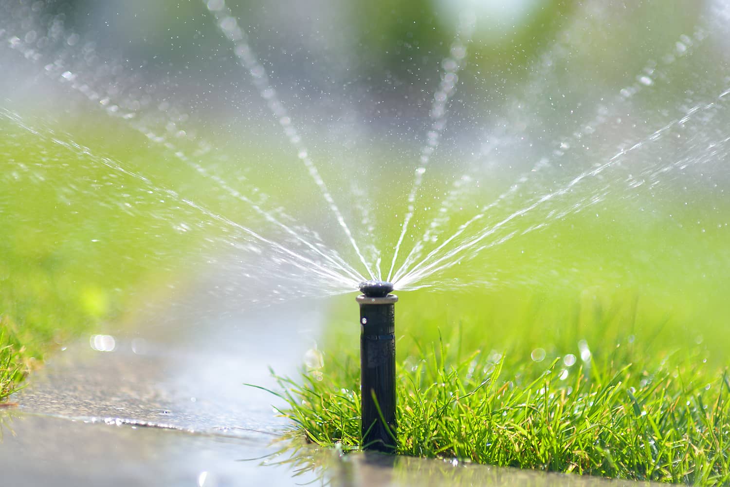 Irrigation in Grass Valley - General Clean Up Irrigation in Grass Valley - Lawn Care