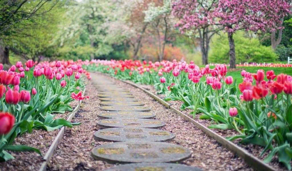 Lawn Installation in Rocklin - Rose Garden Path Lawn Installation in Rocklin - Paved Garden Path