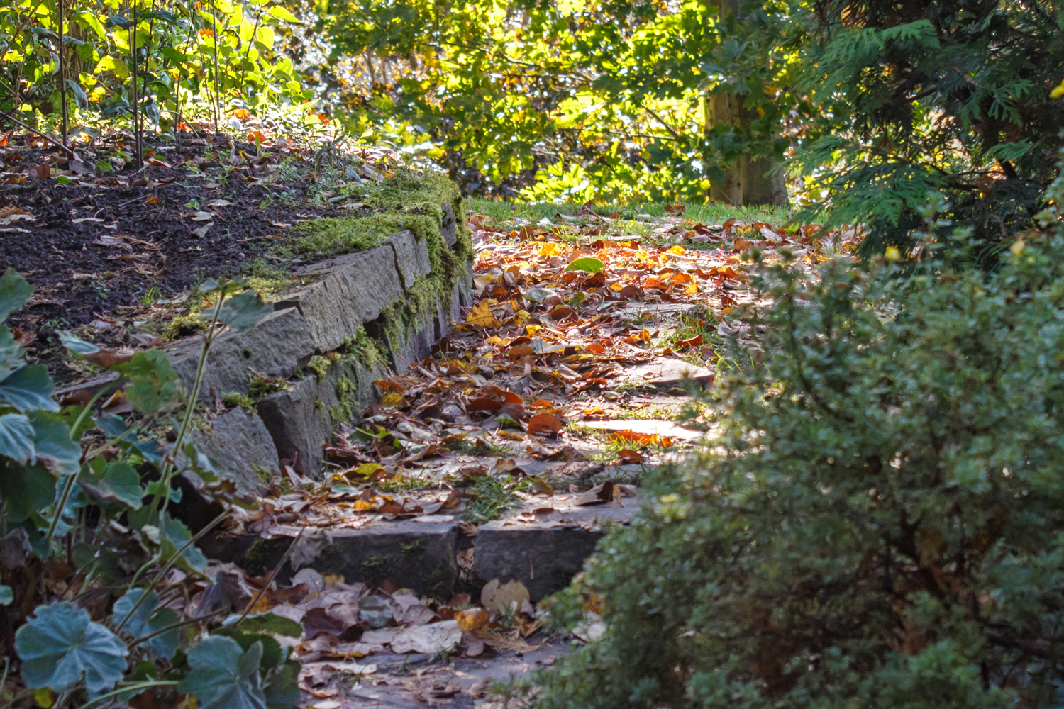 Retaining Walls in Rocklin - Consultation Retaining Walls in Rocklin - Consultation