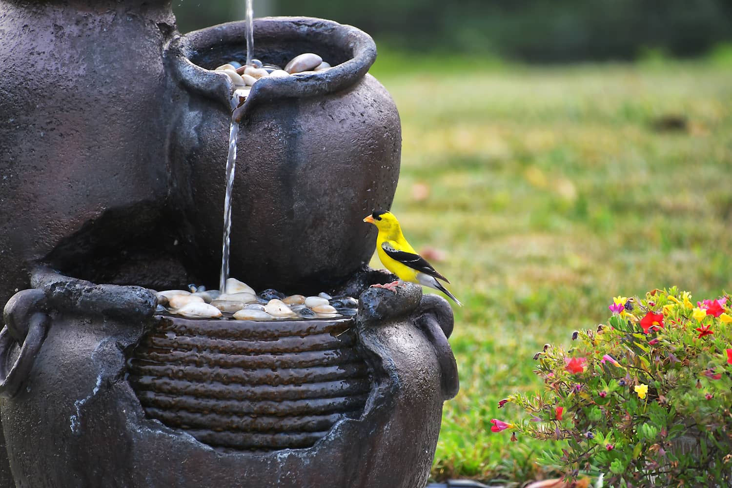 fountain-installation-services-northern-ca